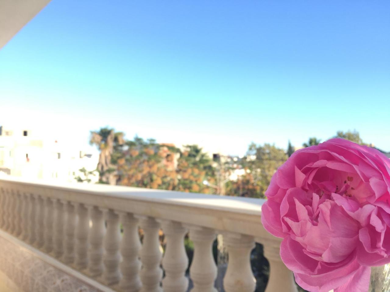 Kelibia Paradise المظهر الخارجي الصورة